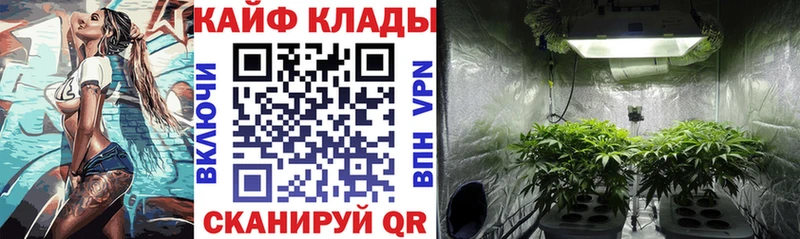 МЕТАДОН Моршанск