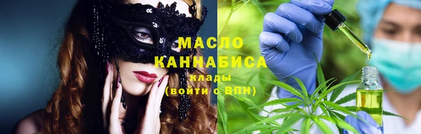шишки Абаза