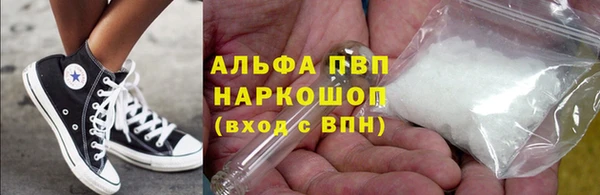 шишки Абаза