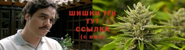 шишки Абаза