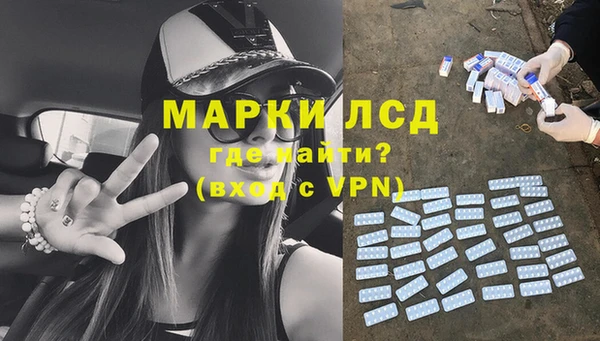 шишки Абаза