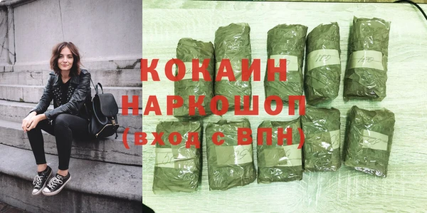 шишки Абаза
