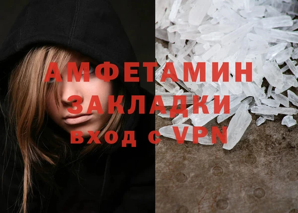 шишки Абаза