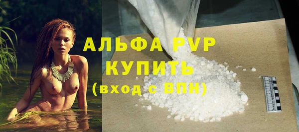 шишки Абаза