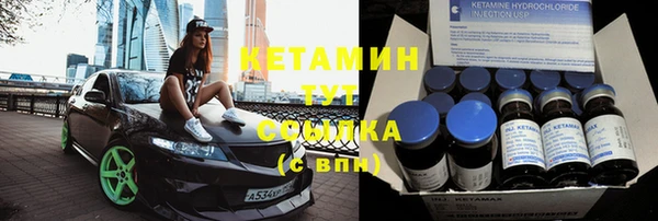 шишки Абаза