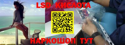 прущие грибы Ярославль