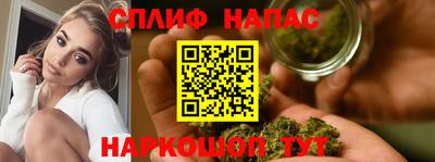 прущие грибы Ярославль