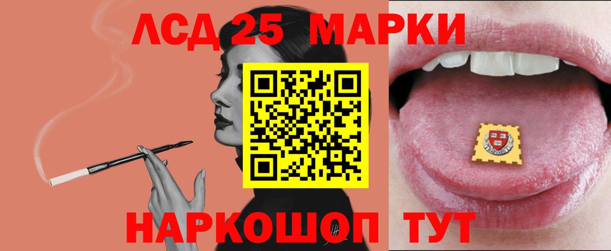 A PVP Моршанск