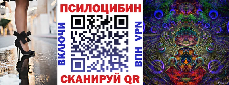 Псилоцибиновые грибы Psilocybe  Моршанск 