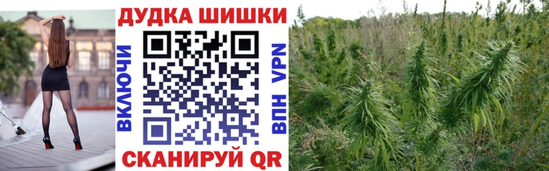 блэк спрут   Моршанск  Бошки Шишки семена  хочу  